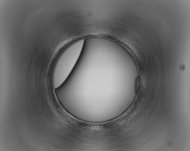 X0000091580587200708201015