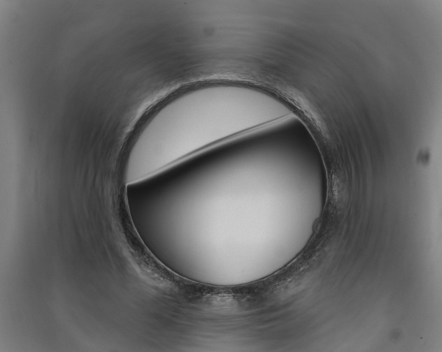 X0000091580588200708201015