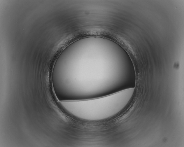 X0000091580589200708201015