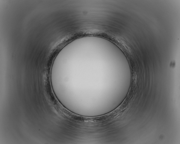 X0000091580591200708201015