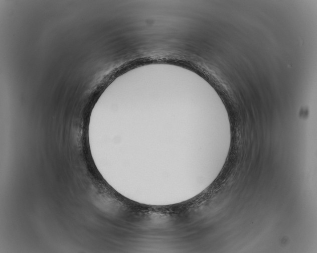 X0000091580592200708201015