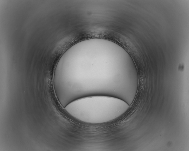 X0000091580594200708201015