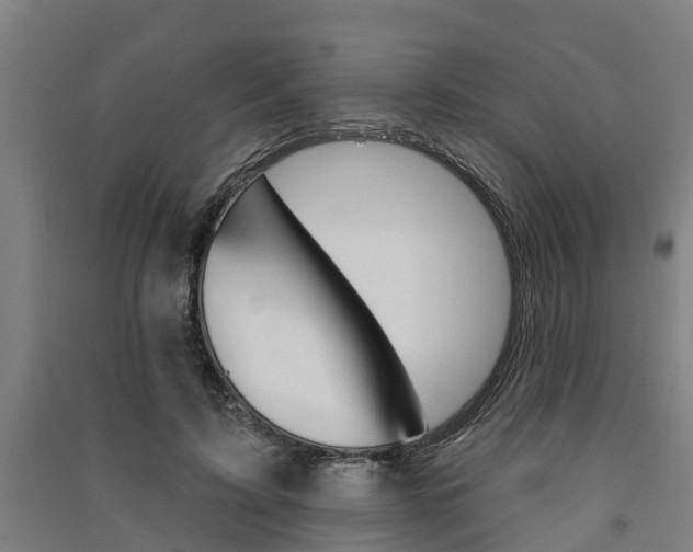 X0000091580595200708201015