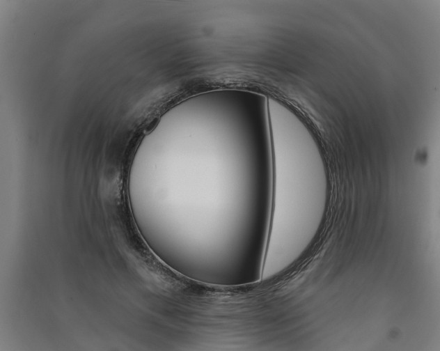 X0000091580597200708201015