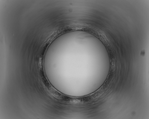 X0000091580598200708201015