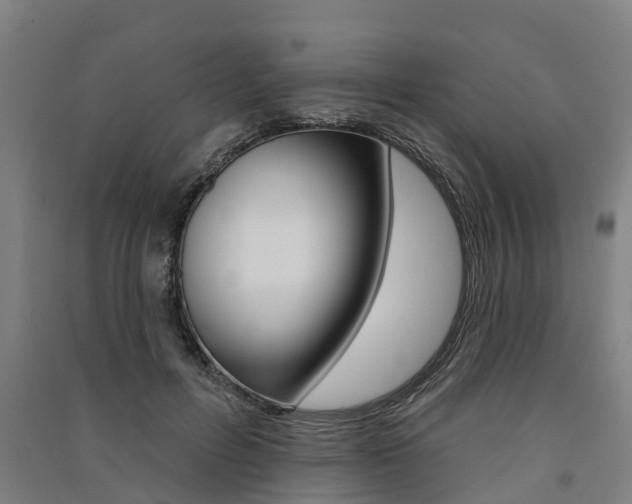 X0000091580600200708201015