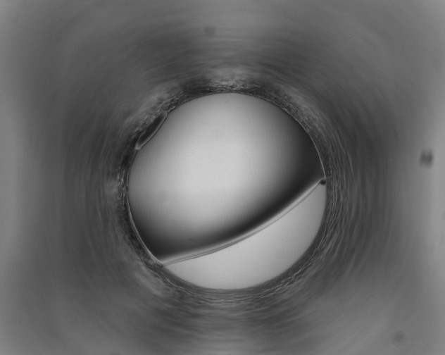 X0000091580601200708201015