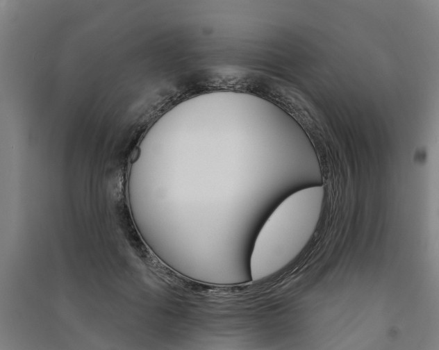 X0000091580602200708201015