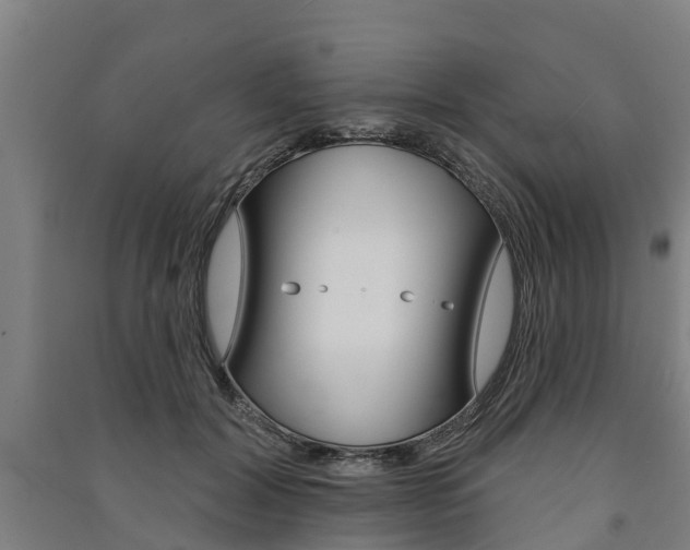 X0000091580604200708201015