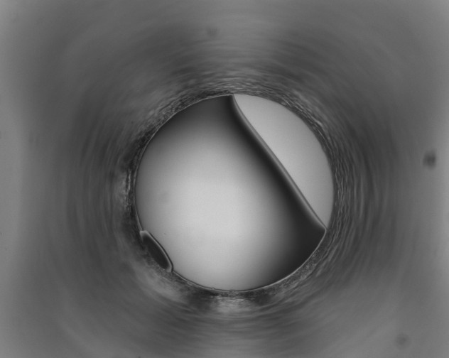 X0000091580605200708201015