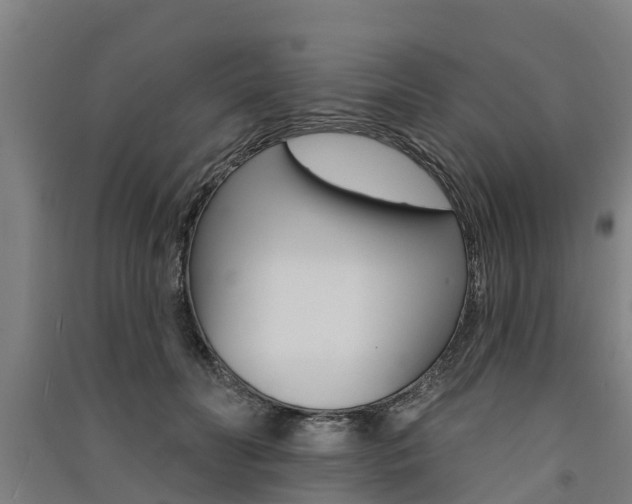 X0000091580606200708201015