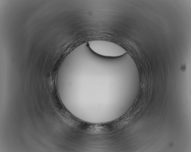 X0000091580607200708201015