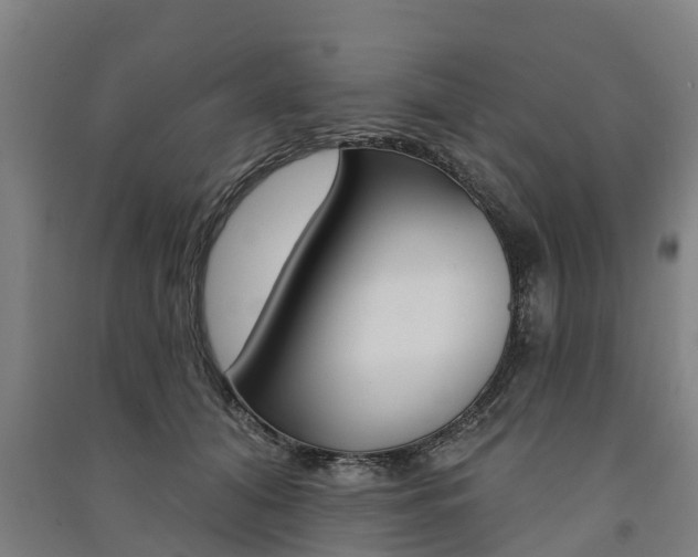 X0000091580608200708201015