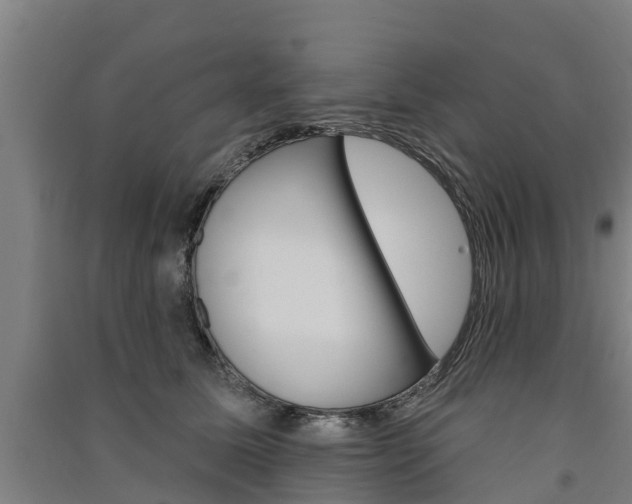 X0000091580611200708201015