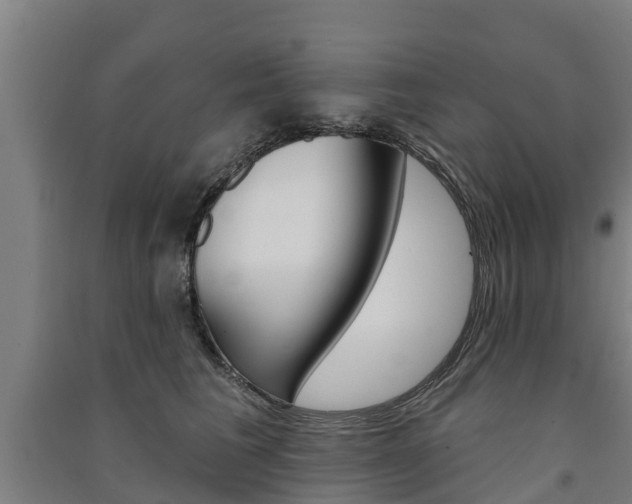 X0000091580613200708201015