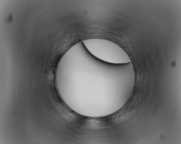 X0000091580614200708201015