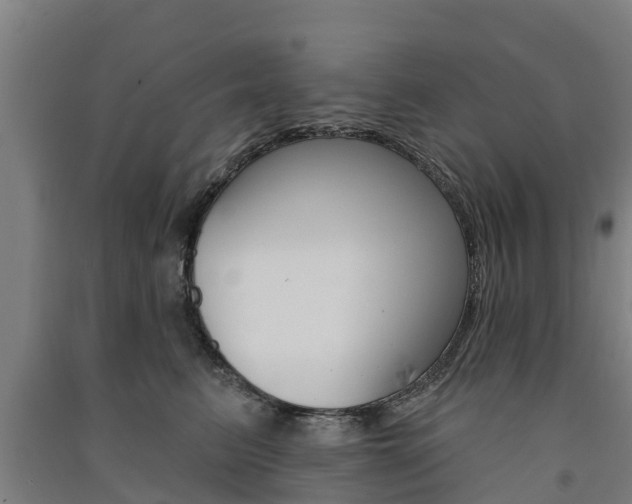 X0000091580615200708201015