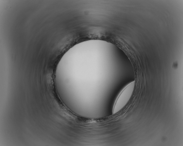 X0000091580616200708201015