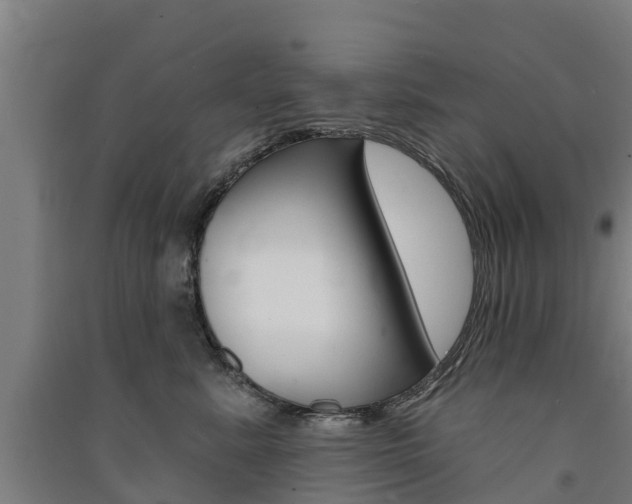 X0000091580619200708201015