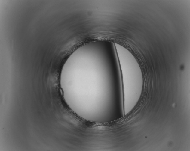 X0000091580620200708201015