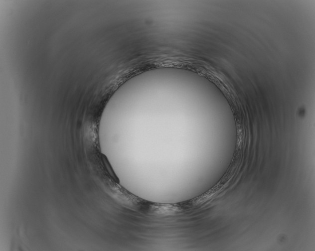 X0000091580621200708201015