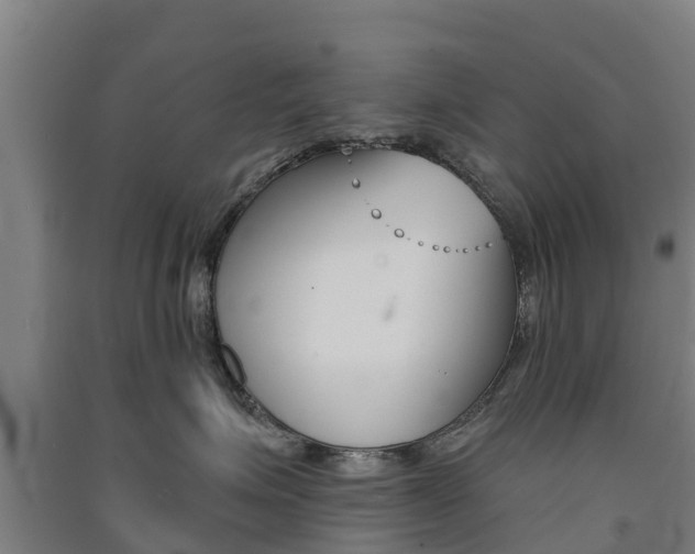 X0000091580623200708201015