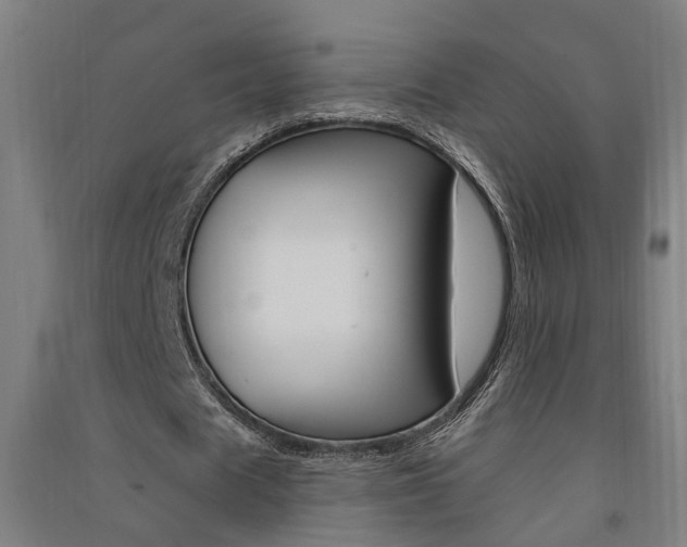 X0000091580625200708201014