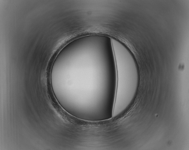 X0000091580626200708201014