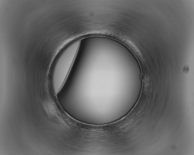 X0000091580628200708201014