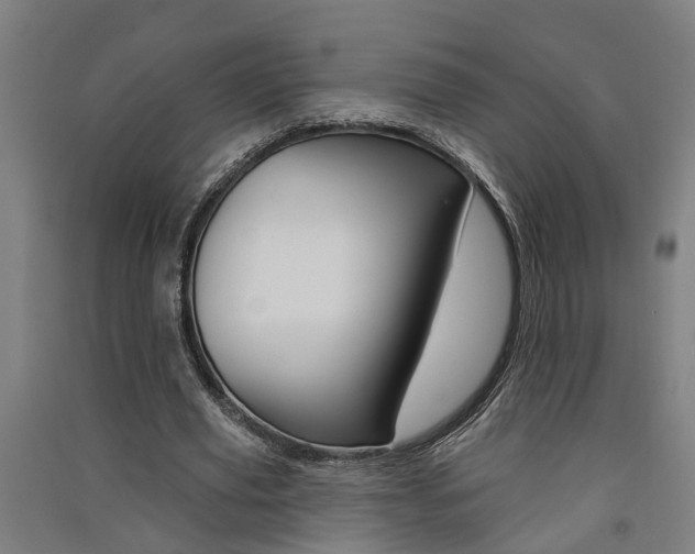 X0000091580629200708201014