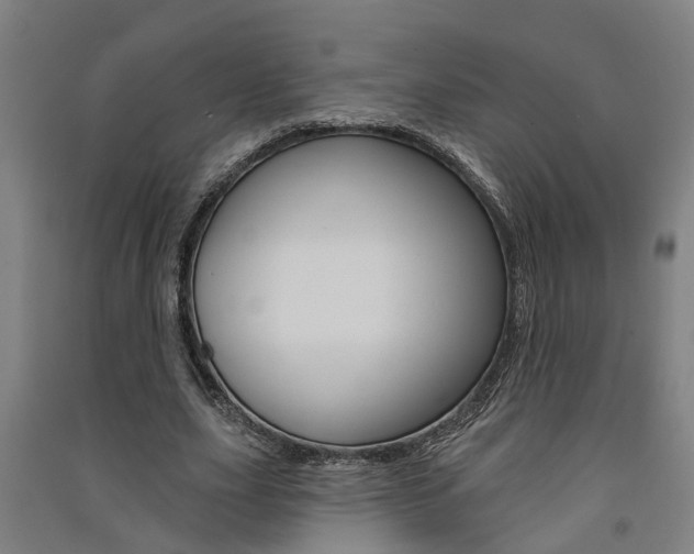 X0000091580631200708201014