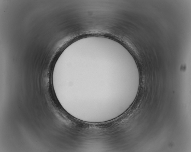 X0000091580632200708201014