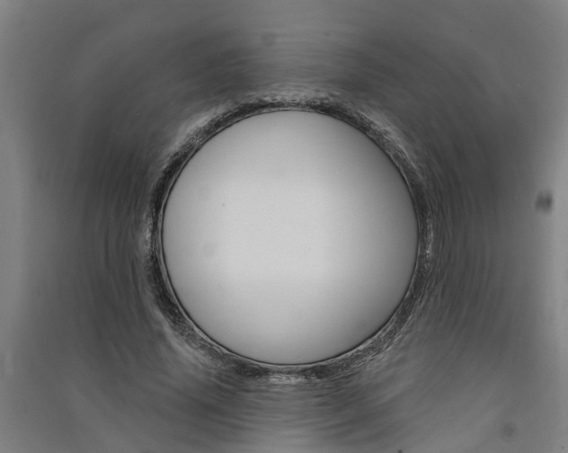X0000091580636200708201014