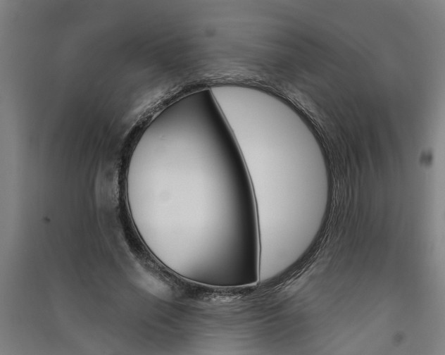 X0000091580638200708201014
