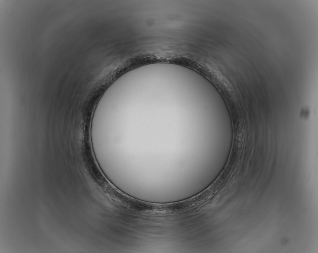 X0000091580639200708201014