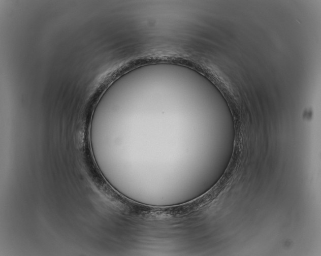 X0000091580640200708201014