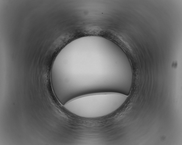 X0000091580641200708201014