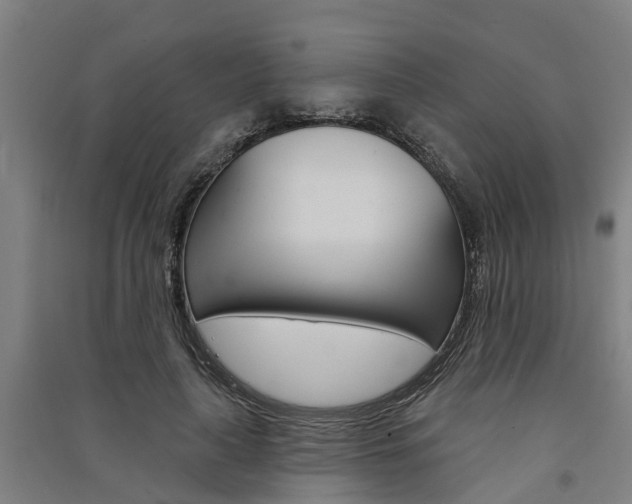 X0000091580643200708201014