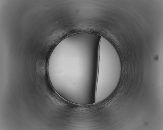 X0000091580644200708201014