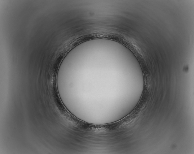 X0000091580645200708201014