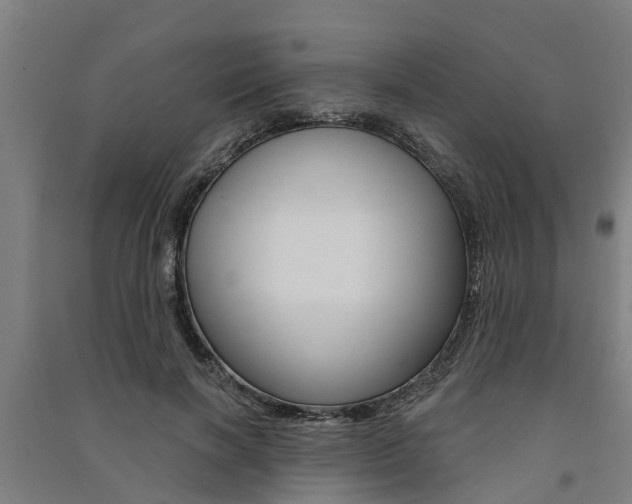 X0000091580646200708201014