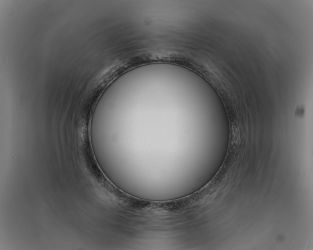 X0000091580648200708201014