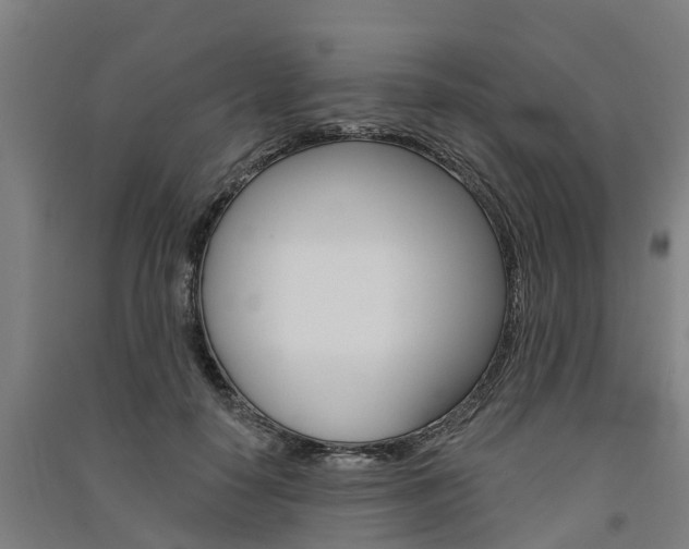 X0000091580650200708201014