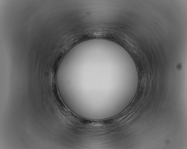 X0000091580651200708201014