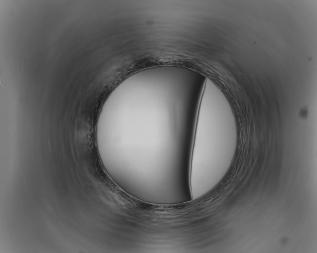 X0000091580653200708201015
