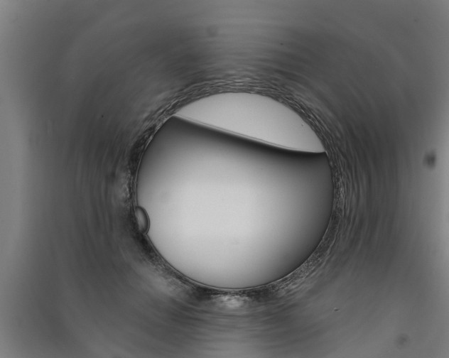 X0000091580654200708201015