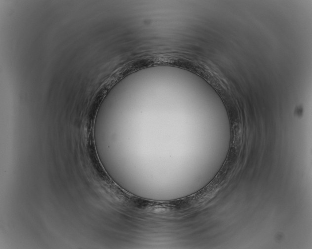X0000091580655200708201015