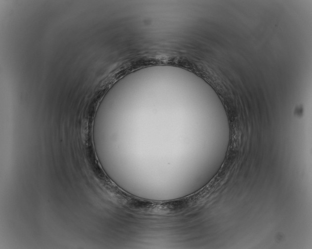 X0000091580656200708201015