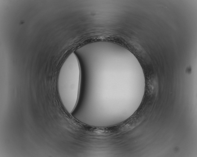 X0000091580657200708201015