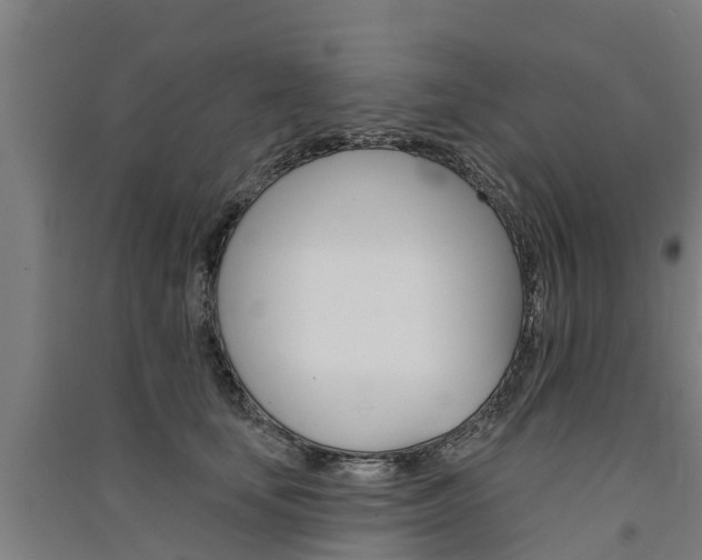X0000091580659200708201015